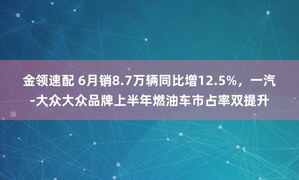 金领速配 6月销8.7万辆同比增12.5%,一汽-大众大众品牌上半年燃油车市占率双提升