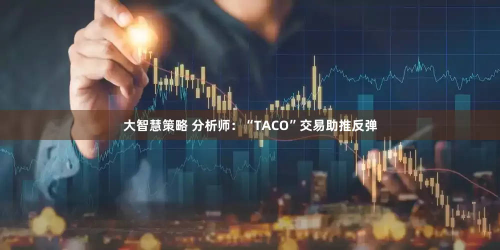大智慧策略 分析师：“TACO”交易助推反弹