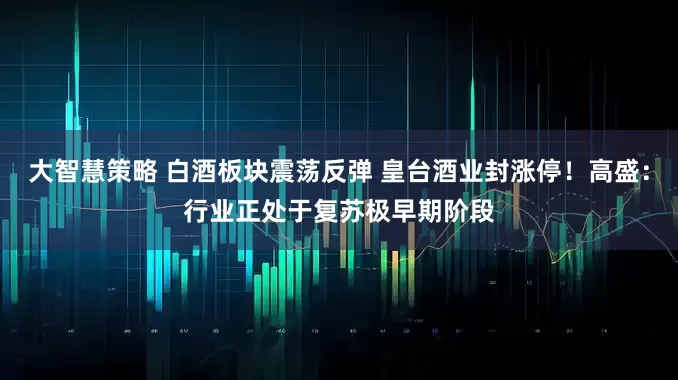 大智慧策略 白酒板块震荡反弹 皇台酒业封涨停！高盛：行业正处于复苏极早期阶段